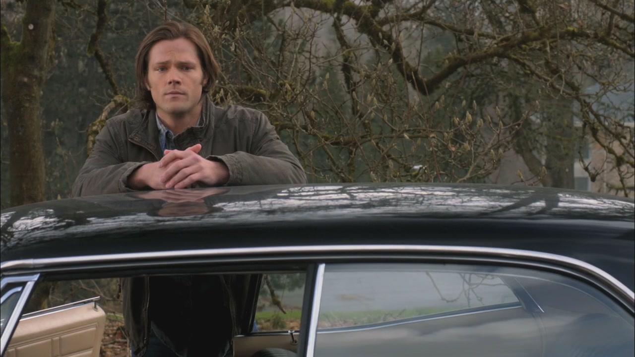 SPN_1265.jpg