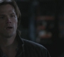 SPN_0303.jpg