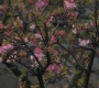 SPN_0380.jpg