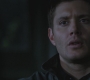 SPN_0837.jpg