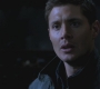 SPN_1035.jpg