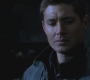 SPN_1041.jpg