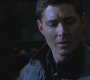 SPN_1046.jpg
