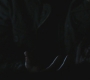 SPN_1127.jpg