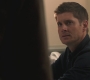 SPN_1156.jpg