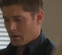 SPN_1181.jpg