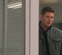 SPN_1203.jpg