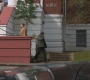 SPN_1261.jpg