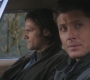 SPN_1285.jpg
