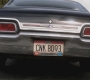 SPN_1286.jpg