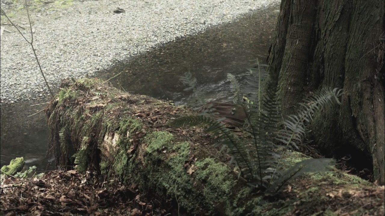 SPN_0647.jpg