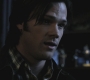 SPN_0141.jpg