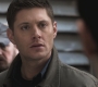 SPN_0306.jpg