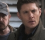 SPN_0318.jpg