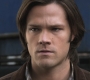 SPN_0336.jpg