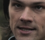 SPN_0603.jpg