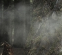 SPN_0619.jpg
