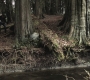 SPN_0631.jpg