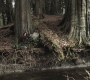 SPN_0633.jpg