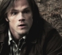 Filename=SPN_0636.jpg
Filesize=90KiB
Dimensions=1280x720
Date added=Sep 30, 2021 SPN_0636.jpg