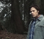 SPN_0641.jpg