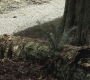 SPN_0642.jpg