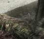 SPN_0647.jpg