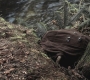SPN_0652.jpg