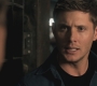 SPN_0745.jpg