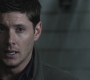 Filename=SPN_1271.jpg
Filesize=53KiB
Dimensions=1280x720
Date added=Sep 30, 2021 SPN_1271.jpg