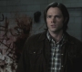 Filename=SPN_1307.jpg
Filesize=69KiB
Dimensions=1280x720
Date added=Sep 30, 2021 SPN_1307.jpg