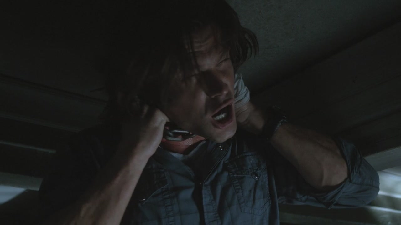 SPN_0517.jpg
