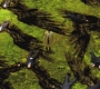 SPN_0158.jpg