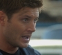 SPN_0219.jpg