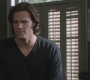 SPN_0245.jpg