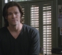 SPN_0250.jpg