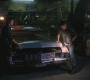 SPN_0406.jpg
