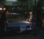SPN_0407.jpg