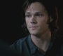 SPN_0423.jpg