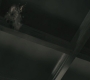 SPN_0513.jpg