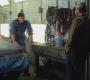 SPN_0590.jpg