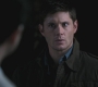 SPN_1003.jpg
