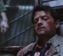 SPN_1329.jpg