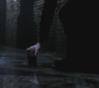 SPN_1343.jpg