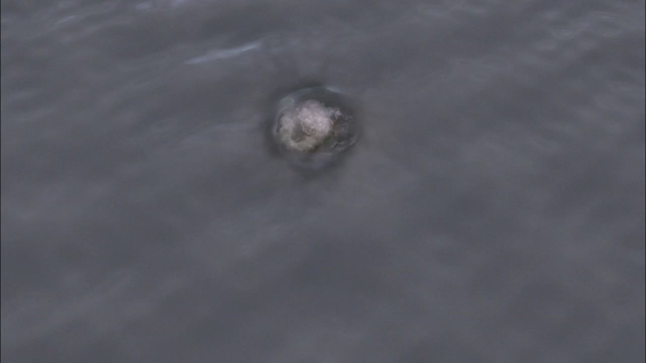SPN_0134.jpg
