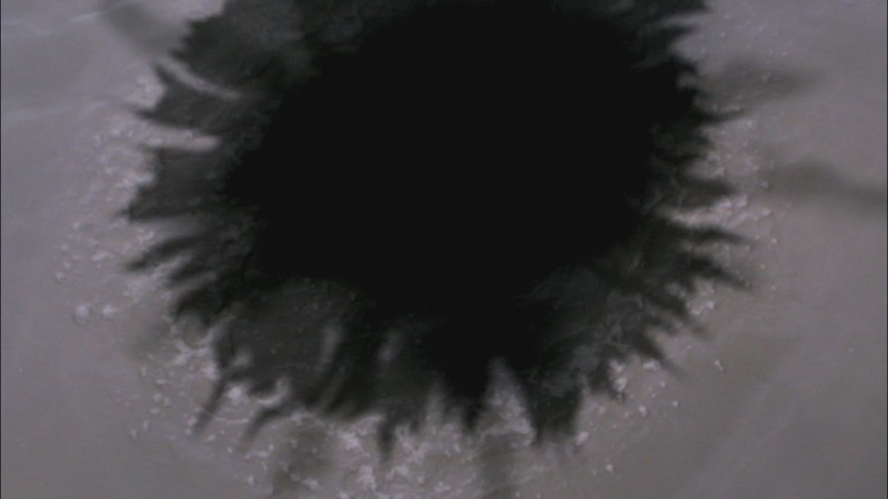 SPN_0136.jpg