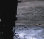 SPN_0052.jpg