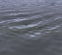 SPN_0128.jpg