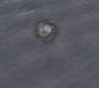 SPN_0134.jpg