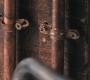 SPN_0231.jpg